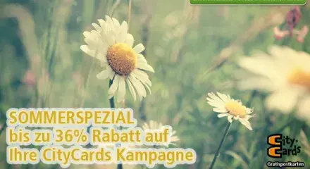 Sommerspezial - Angebot des Monats