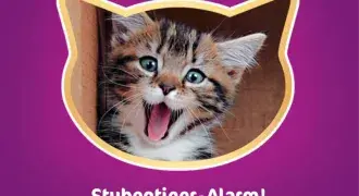 Whiskas